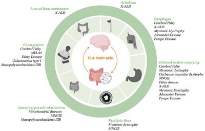 Gut dysmotility in children with neurological impairment: the nutritional management